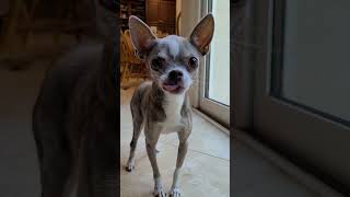 Download Lagu Everything I do, I do it for you MP3