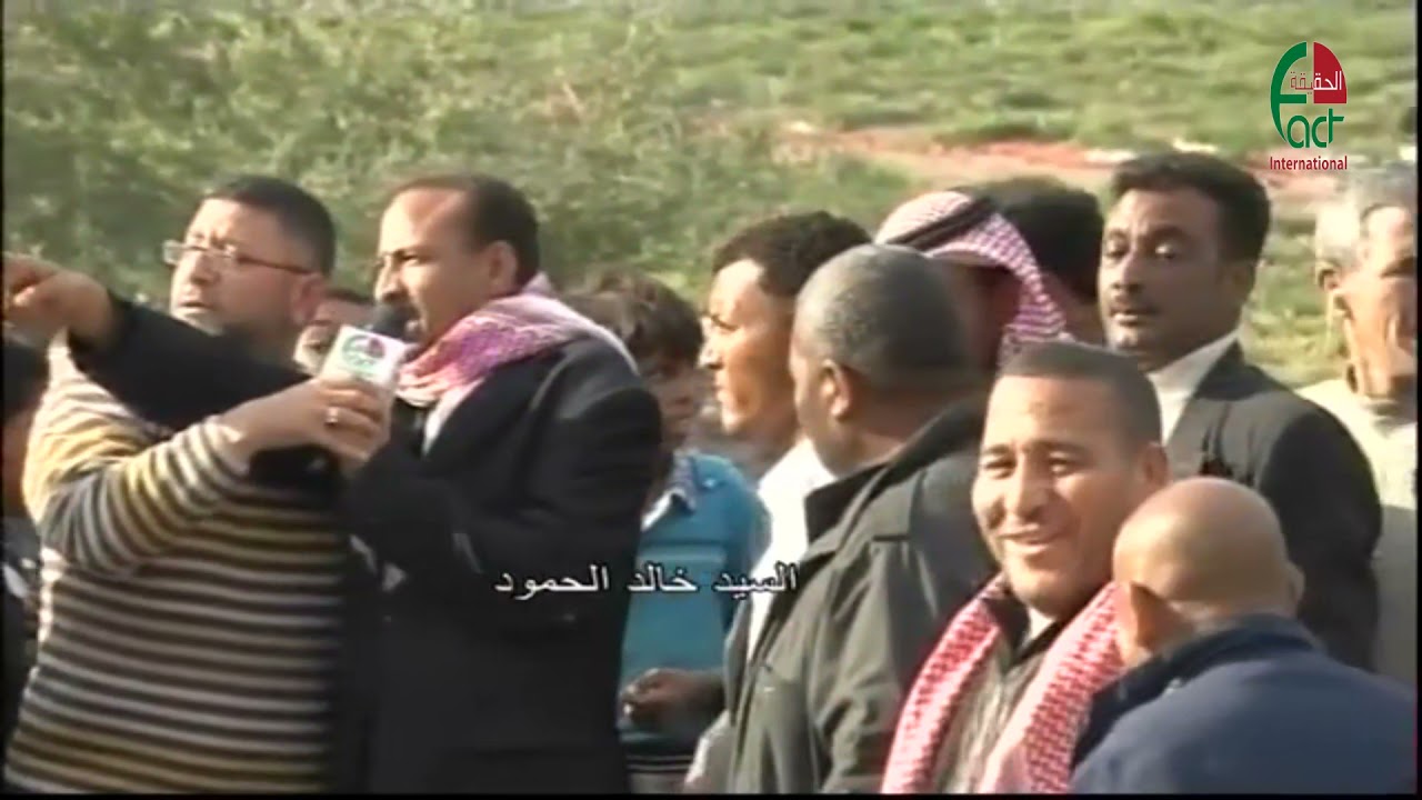 الخدمات في غور الصافي