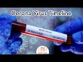 Corona virus timeline  newsnumbercom