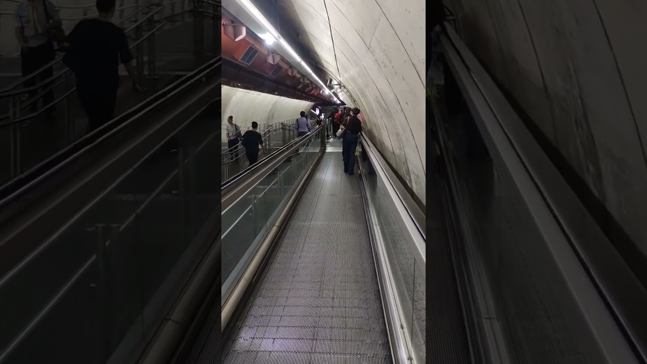 أنسب المشاريع والوظائف للعرب في البرازيل 🇧🇷 ورحله بالباص والمترو فى ساوباولو ✌️