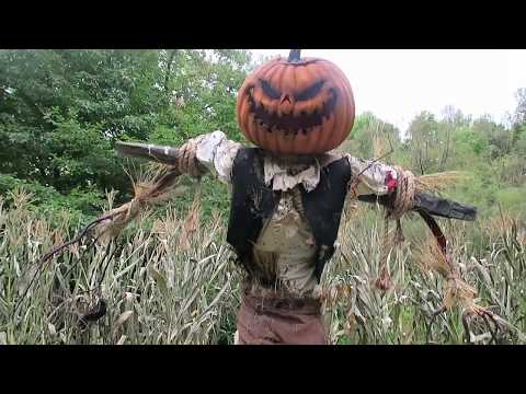 Scarecrow