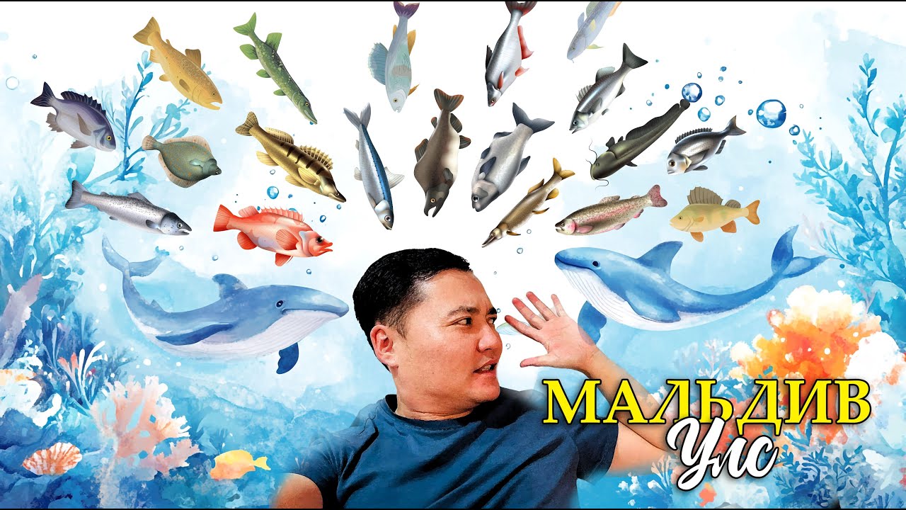 ЗАГАСНЫ ЭХ ОРНЫ АМЬДРАЛ ДУНД #munkhtselmeg #tselmegvlog #tselmeg vlog