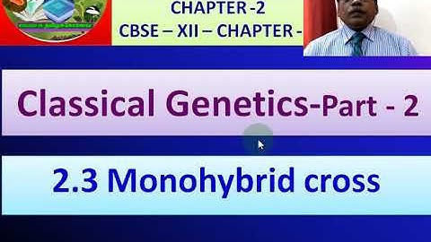 V85-QP33- XII - BOTANY - EM - Classical Genetics -Part2- Monohybrid - Reciprocal - Back & Test Cross