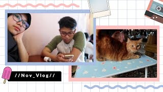 November Vlog 17 Fallingforsnow