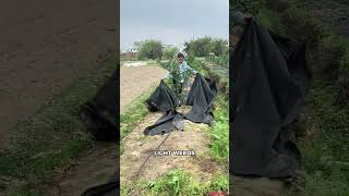 The Smartest Way to Kill Weeds Without Chemicals! Modern Farmers Are Using This Simple Trick