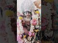 प्रेम से बोलो जय माता दी 🚩🚩#trending #shorts #videos #ytshorts #maashortsvideo #shortsfeed