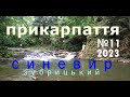 № 11 ЗУБРИЦЬКИЙ СИНЕВИР