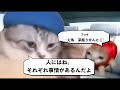 ごみ収集員の日常~#3 給料日 編~ #猫ミーム #猫meme #猫マニ