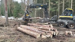 Images of logging with the latest modern machinery in 2024