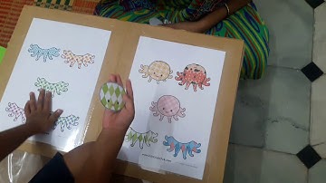 Visual discrimination octopus pattern matching