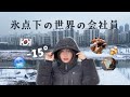 【韓国会社員Vlog】❄‐15度のソウル生活❄同僚との年末日常日記🎄/ 영하15도라니,, 한국에서 일하는 일본인의 서울 생활 브이로그