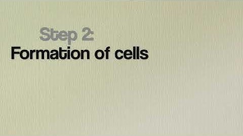 CIS 2010  Video Project