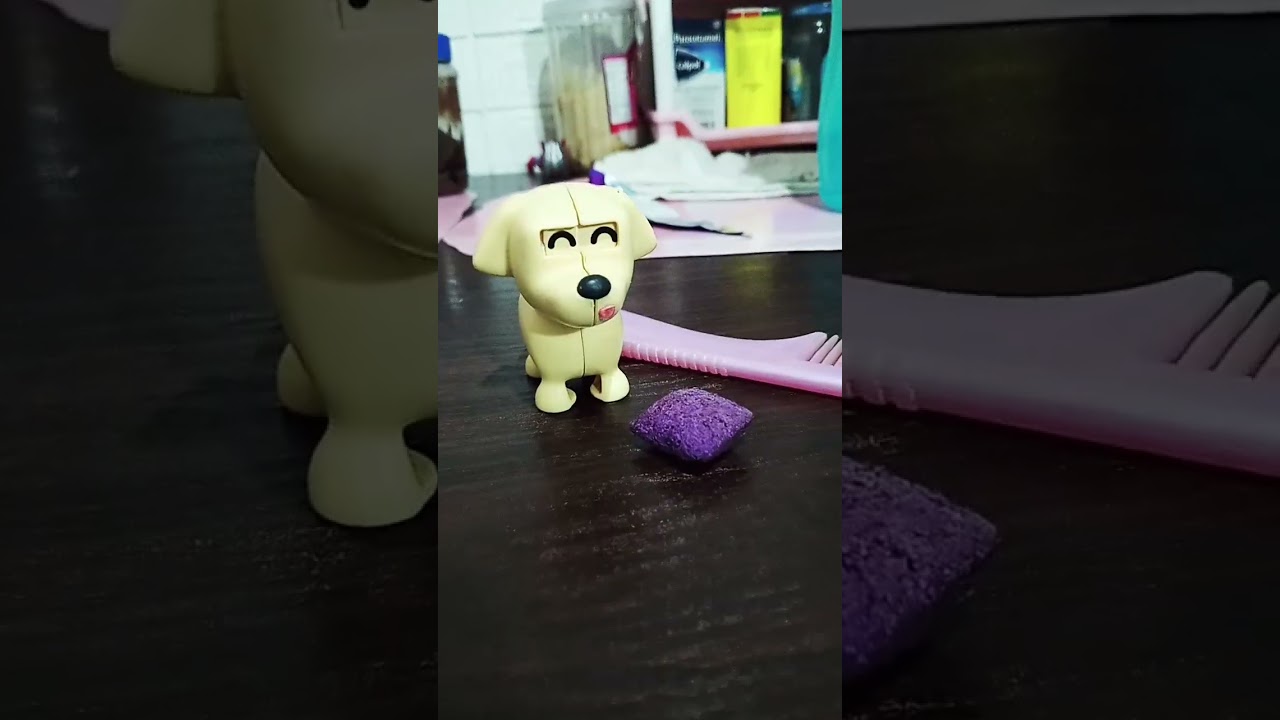 Doggy wants to eat🍞🥖 