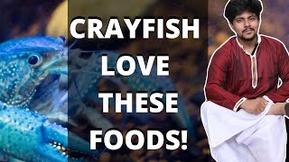 What Should You Feed Your Crayfish?