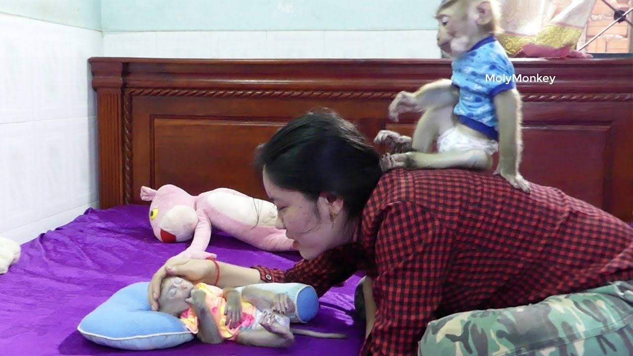 OGod!! Spoil Donnal Not Want To Sleep And Try Disturb When Zuji Sleeping