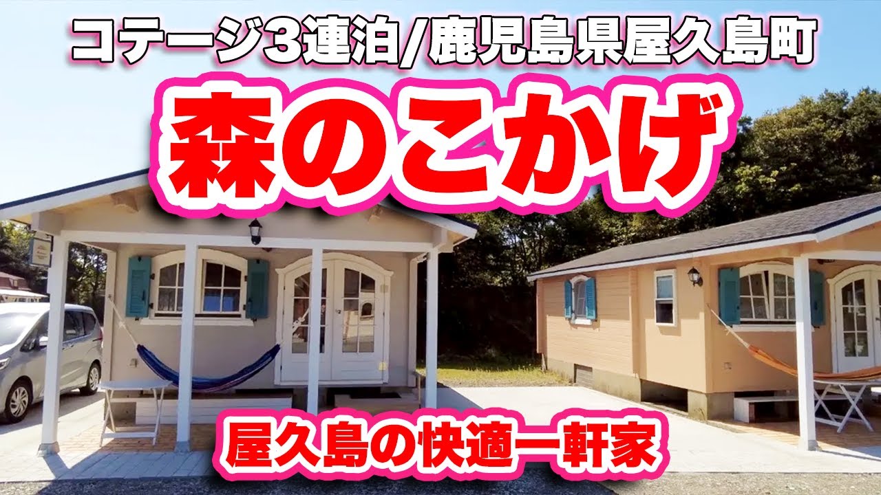 かもがわレストラン 鹿児島県屋久島町 ランチ 巨大エビフライと大盛り焼肉定食をガッツリ 旅行vlog 4k 安房 レストラン かもがわ 駐車場 県道77号線 エビフライ 刺身 焼肉 コーヒー Youtube