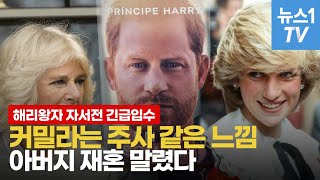 해리왕자의 고백 