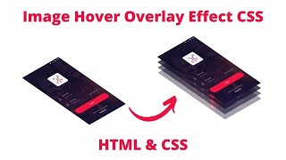 Create a Image Hover Overlay Effects | CSS Image Hover Effects | HTML CSS Effect