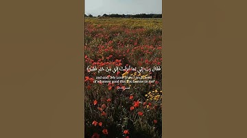 سورة القصص-القارئ صالح الانصاري🌼🌹 #اجر_لي_ولك #المصحف #الحمدلله #قران_كريم #peace #أجر_عظيم #القرآن