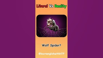 1+ Best of the Literal Vs Reality English Compound Words-103