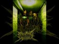 Awaiting The Autopsy - Hung By The Tongue