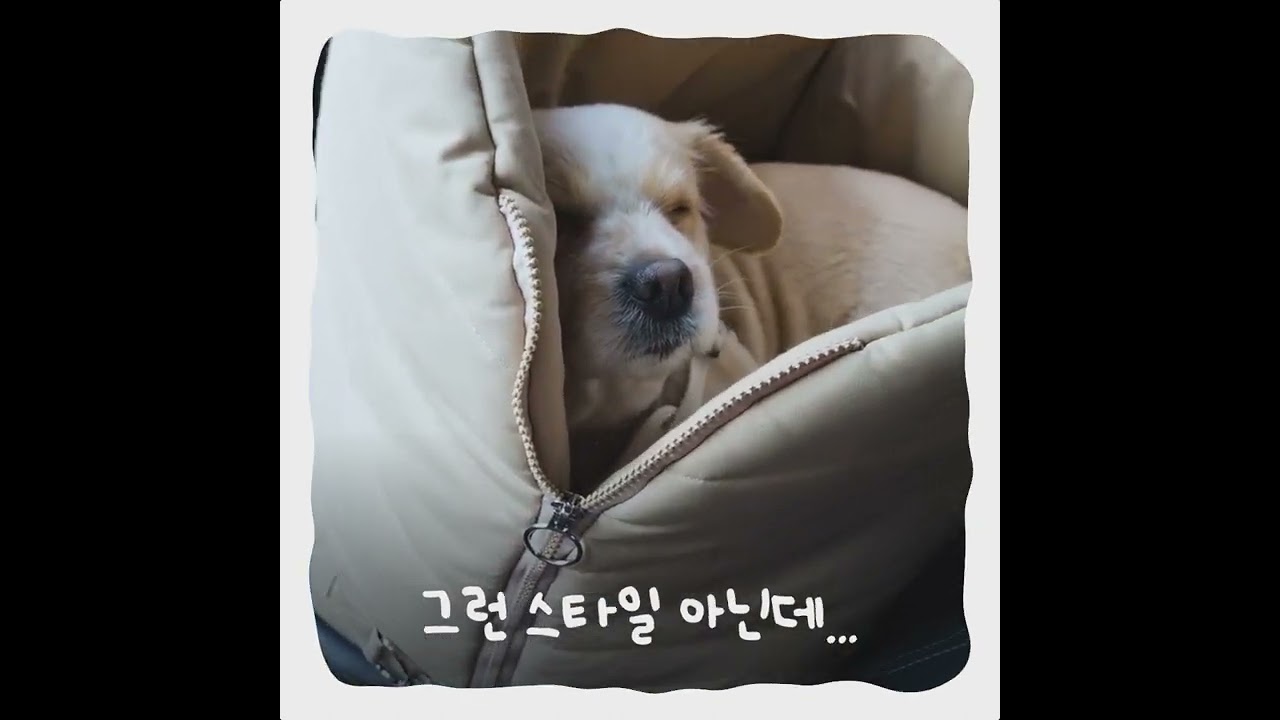 쇼츠 11 - STUDIO VIKA 포트폴리오