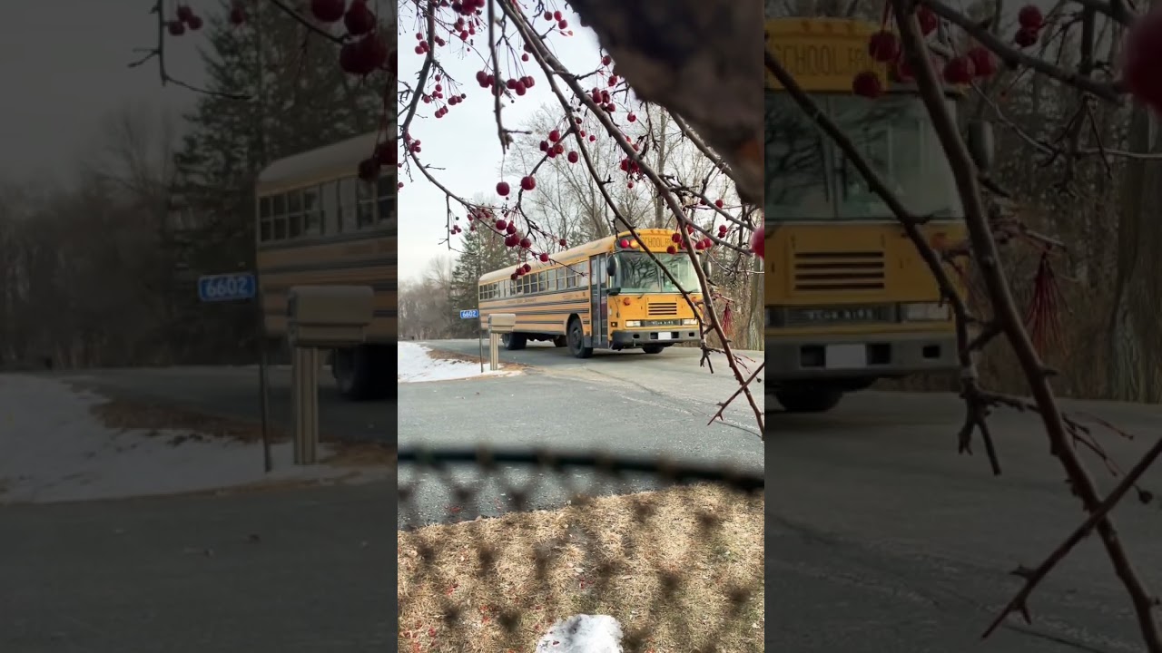 Bus 16 2004 Bluebird All American  A3FE ( cummins)