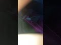 13 7 2025 Tonnyvlog2 13 7 2025 Tonnyvlog2