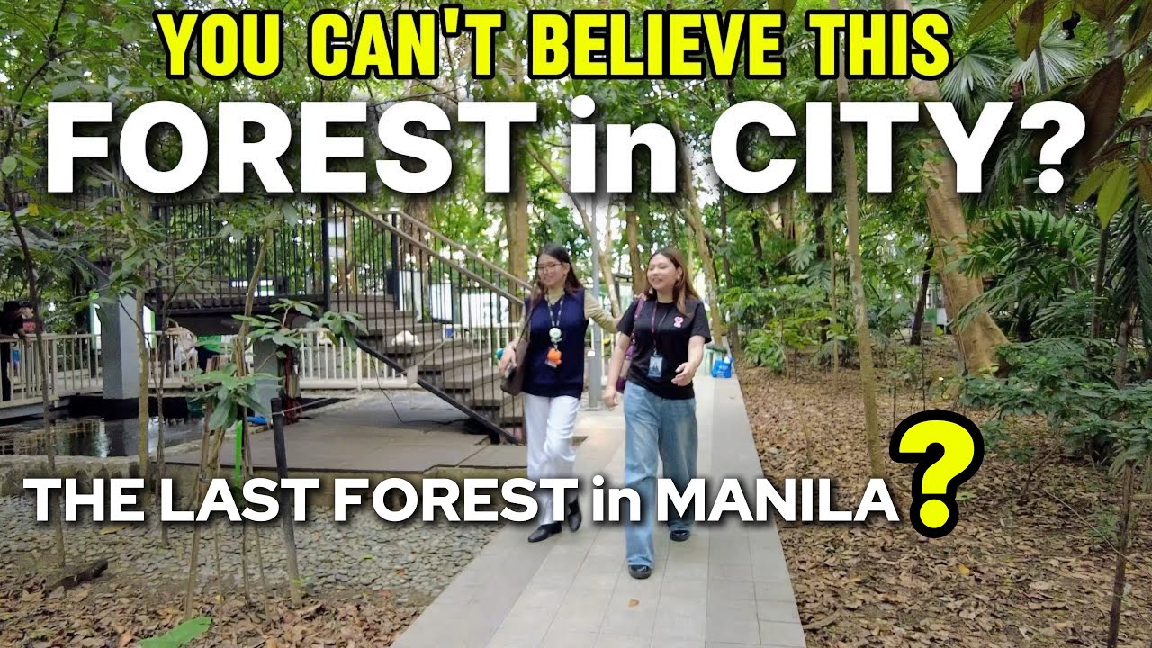 THE LAST FOREST in MANILA CITT-ARROCEROS FOREST PARK|🇵🇭ERMITA MANILA PHILIPPINES