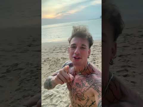 No More Lies Nikolina Shorts 