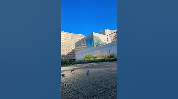 #egzonibrahimi #سورة_الإخلاص #ikhlas #goodmorning #vlog #lifeisbutadream #nature