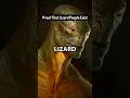 Proof That Lizard People Exist.