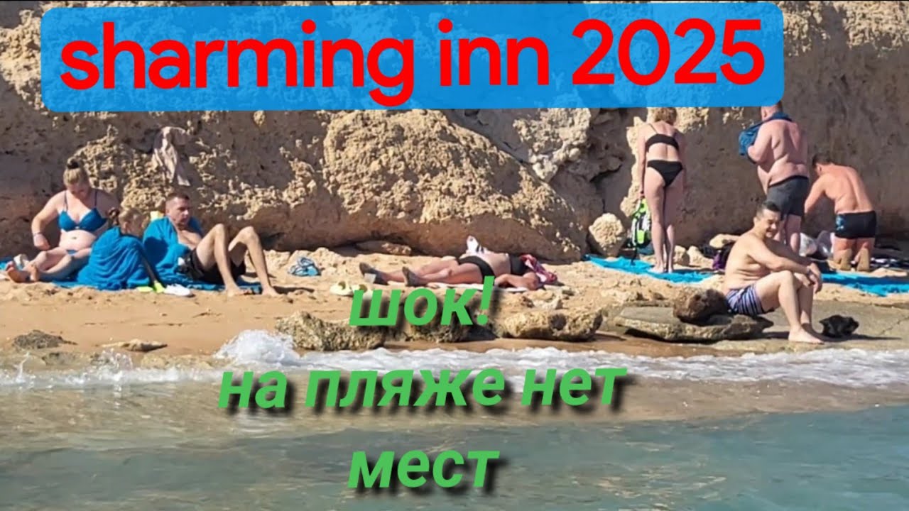 Sharming inn 2025, что на завтрак, едем на пляж, на пляже нет мест