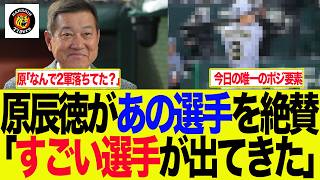 【阪神】原辰徳氏が阪神のあの選手を大絶賛してる件　　阪神ファンの反応集　 　　【野球情報】【2ch 5ch】【なんJ なんG反応】【野球スレ】