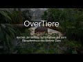 OverTiere | Konzert der Berliner Symphoniker aus dem Flusspferdhaus des Berliner Zoos