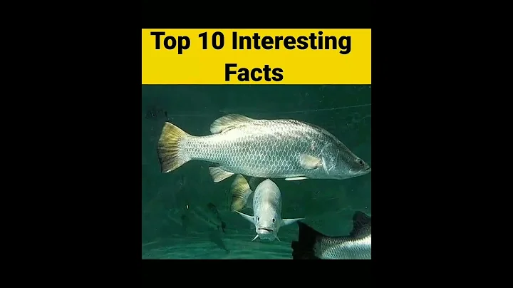 THIS FISH CHANGE ITS GENDER | UNKNOWN FACTS | INTERESTING FACTS #shorts