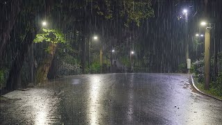 Deep sleep with the sound of rain falling on a rainy forest path, rain sound ASMR for insomnia