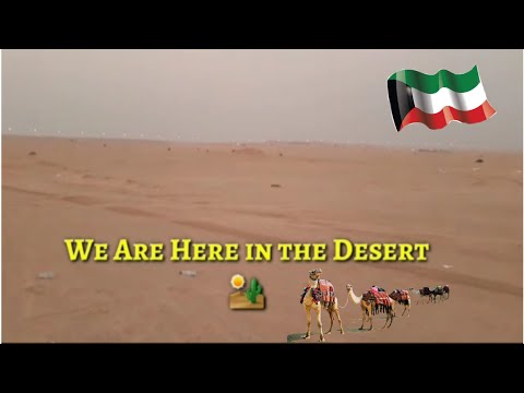 Video: Anong disyerto ang nasa Kuwait?