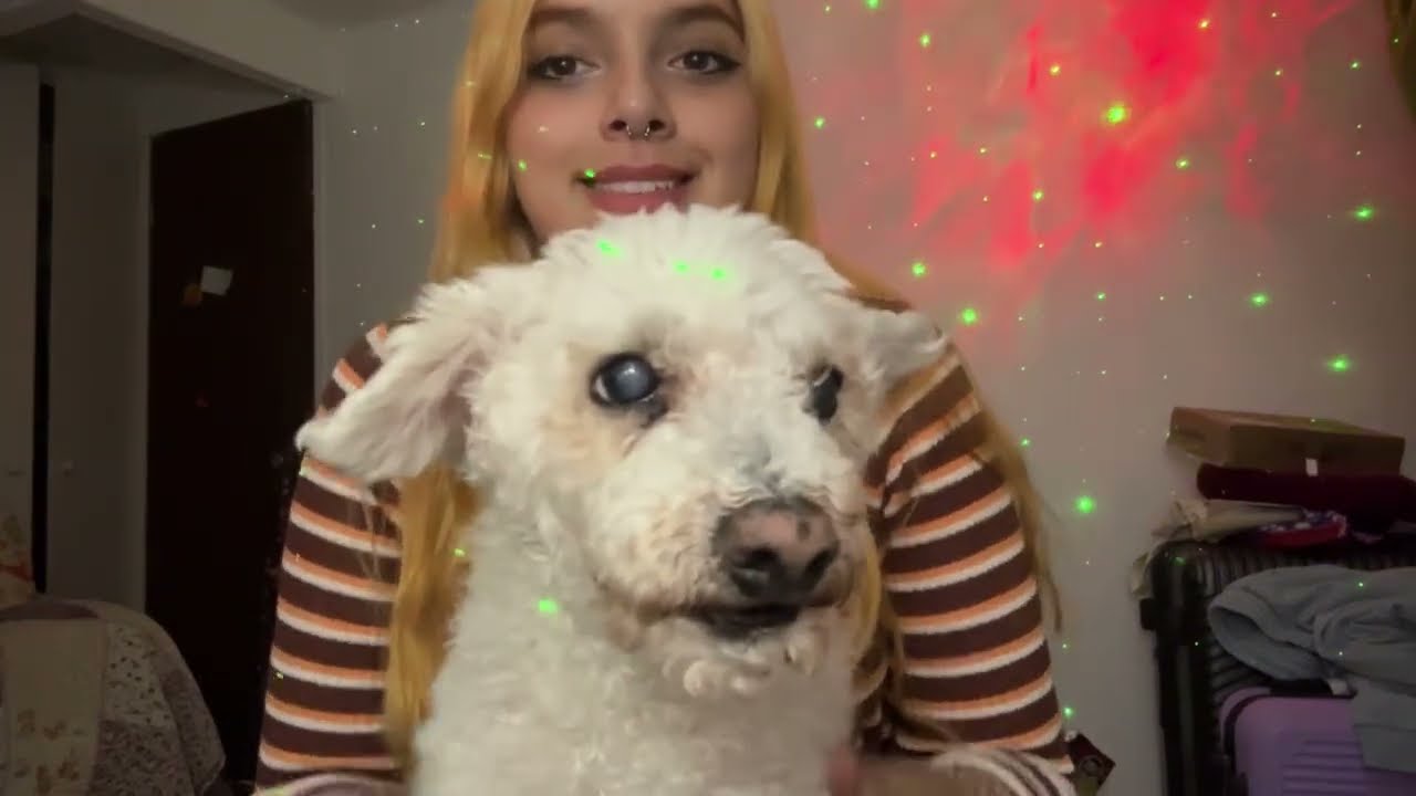 ASMR CON MIS 4 PERROS| SCRATCHING Y MOUTH SOUNDS| SOFIWI