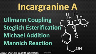 Total Synthesis of (+)-Incargranine A