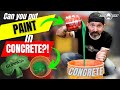 Can you put paint in concrete to color it