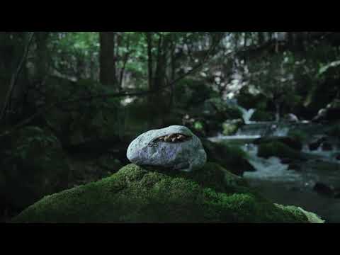 ことわざ篇　転石、苔を生ぜず