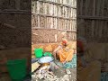 New Ethiopian Tiktok Habesha Tiktok Oromocomedy New Ethiopian Tiktok Habesha Tiktok Oromocomedy