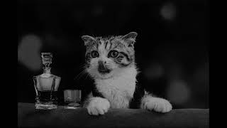  Ai   Whiskey Bottle gangga 