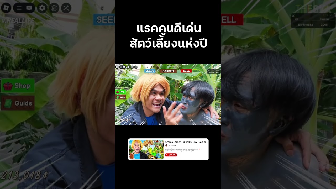 แรคคูนไม่เคยทำให้ผิดหวัง Grow a Garden #growagarden #roblox #reallife  #bietheska