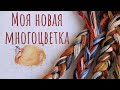 Мой новый процесс #многоцветка 🤷‍♀️ NaDiMa Организация процесса и первые впечатления 💋💋💋