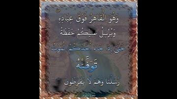 سورة الأنعام الآية ( 61 )
