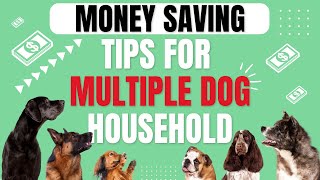 Money Hacks for Dog Owners |Save Money|Dog&Puppy Tips
