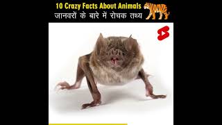 Crazy Facts About Animals ?? | Amazing Facts | Random Facts | Mind Blowing Facts in Hindi Shorts
