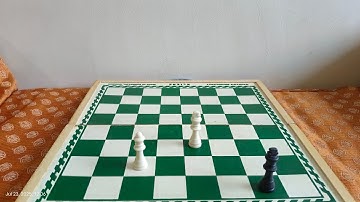 Number 13 chess puzzle for beginners mate in 2 white move first